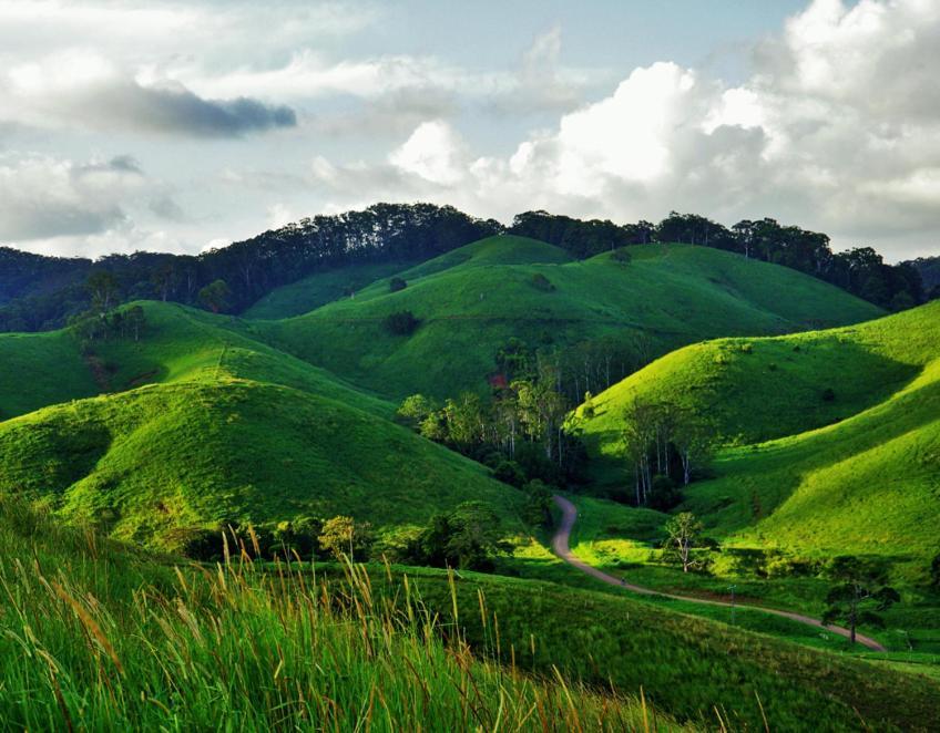 Rosecliffe Farm Cottages Pomona Экстерьер фото