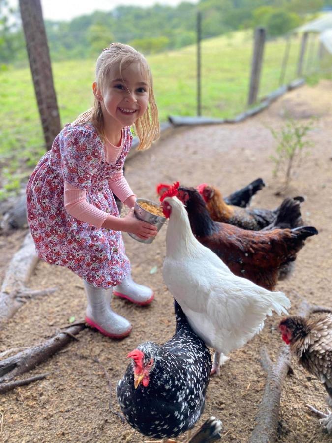 Rosecliffe Farm Cottages Pomona Экстерьер фото